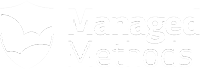 ManagedMethods Logo - Cloud Security & Safety Made Easy